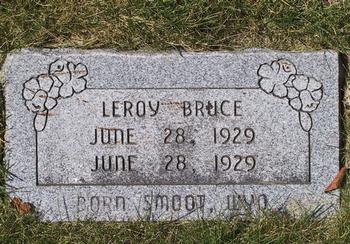 Bruce, Leroy