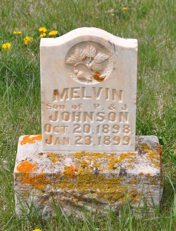 Johnson, Melvin (Randolph)