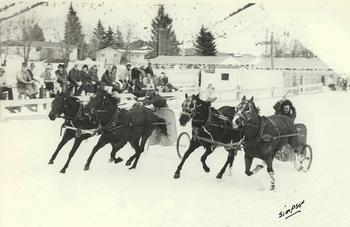 Event, Sports, Horse Racing, Cutter Racing