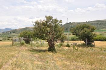 2. Eight Mile Cemetery (Eight Mile)